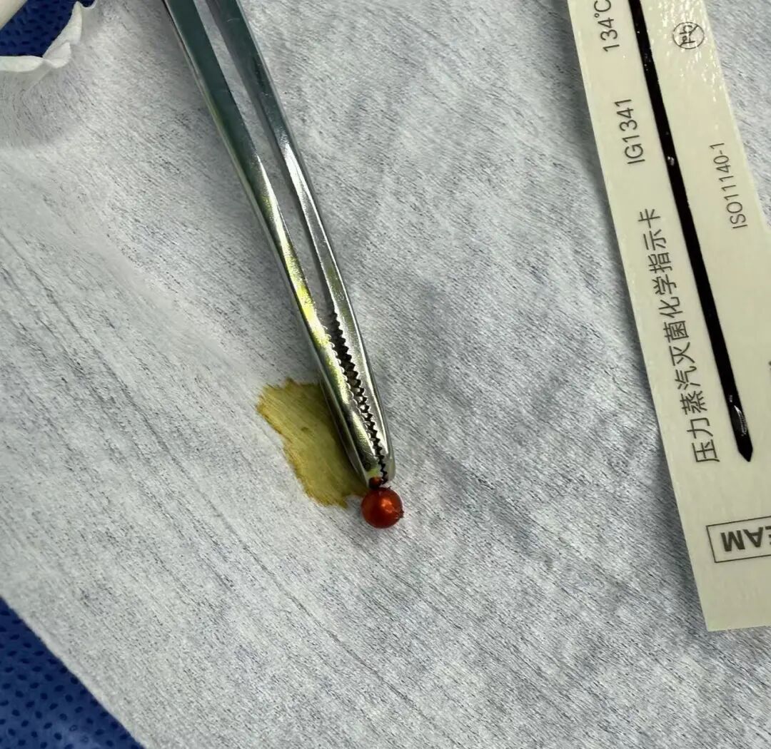 4e012e2ea3a294635f7dd72a7f63fc5a.jpg 4e012e2ea3a294635f7dd72a7f63fc5a.jpg